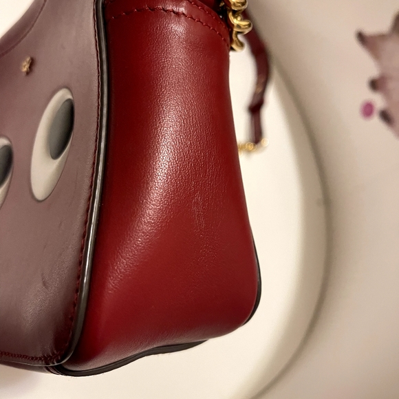 COPY - ANYA HINDMARCH Red Eyes Right Mini Crossbody - Picture 7 of 14